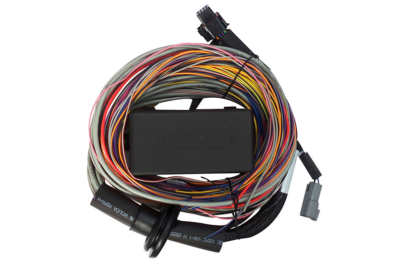 Haltech HT-140604 Elite 750 Premium Universal Wire-In Harness - 2.5m (8ft)