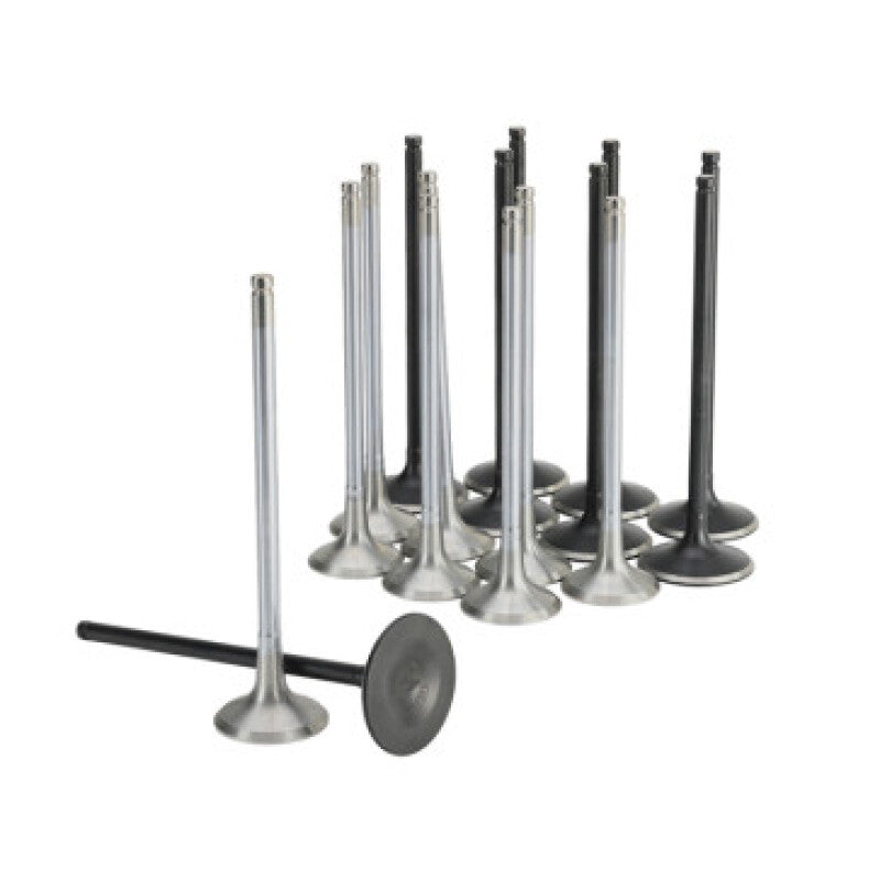 Skunk2 Racing 310-05-2000 Skunk2 Honda K20C1 Alpha Series Intake & Exhaust Valve Set (Standard Compression)