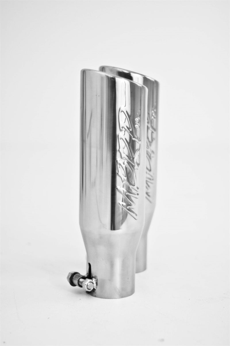 MBRP S5232AL 11 Ford F-150 5.0L V8 Aluminized Cat Back Dual Split Side Exit