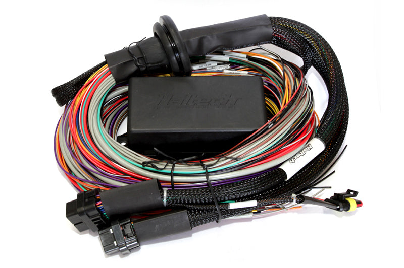 Haltech HT-141304 Elite 2500/2500 T Premium Universal Wire-In Harness - 2.5m (8ft)