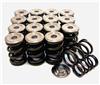 GSC Power Division 5049 GSC P-D Honda B-Series Vtec Dual Spring Set and Titanium Retainer