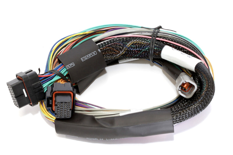 Haltech HT-141302 Elite 2500 Basic Universal Wire-In Harness w/o Relays or Fuses - 2.5m (8ft)