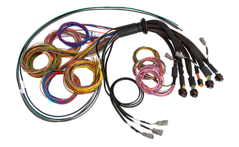 Haltech HT-185200 NEXUS R5 Universal Wire-In Harness - 2.5M (8ft)