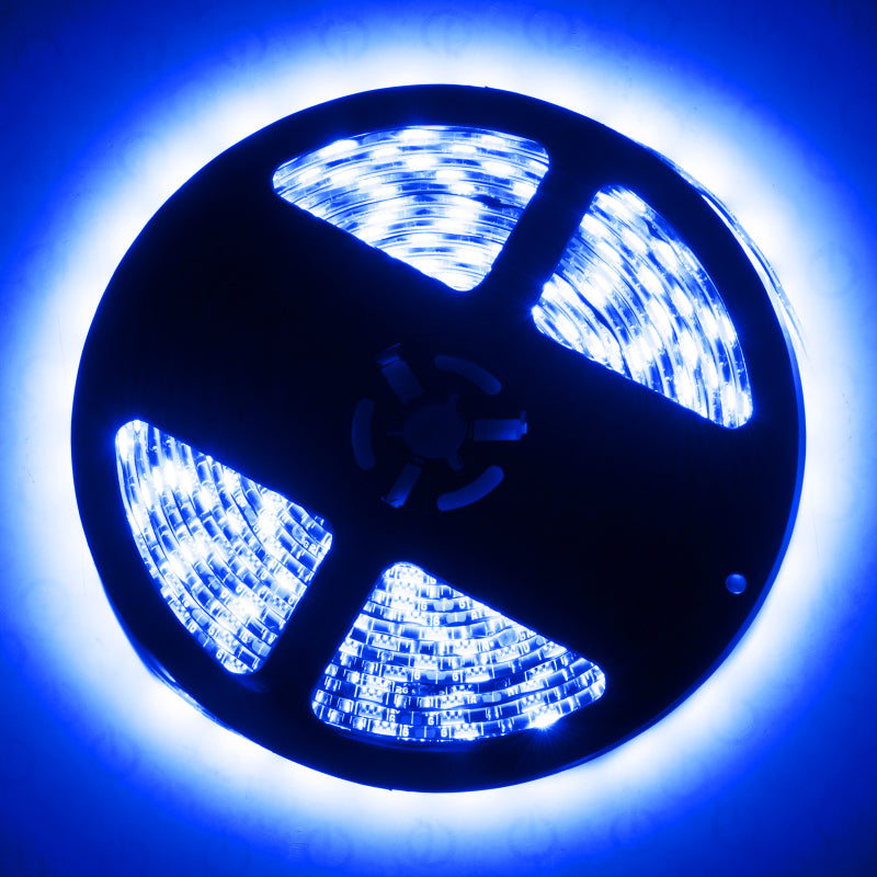ORACLE Lighting 4223-333 Oracle Exterior Black Flex LED Spool - RGB ColorSHIFT SEE WARRANTY