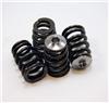 GSC Power Division 5053 GSC P-D VQ35DE (Turbo High Rev) Beehive Valve Spring and Titanium Retainer Kit