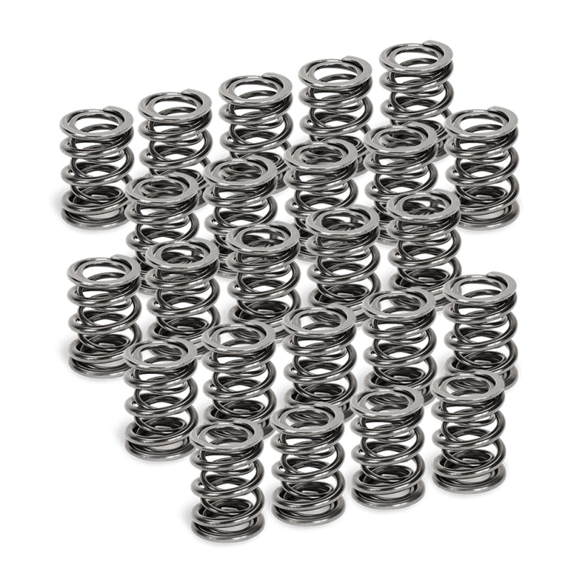 Supertech SPR-H1005D-24 BMW M50/M52/S50/S52 Dual Valve Spring - Set of 24