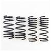 RS-R T065S 13-16 Scion FR-S (ZN6) Super Down Springs