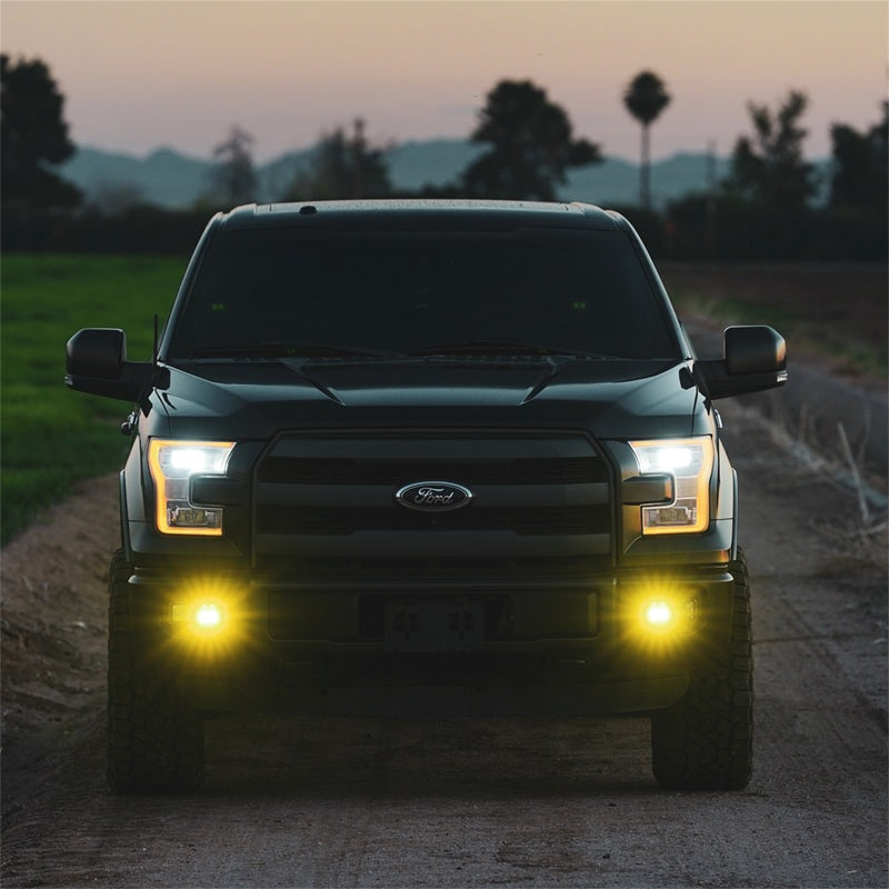 Rigid Industries 50482 D-Series SAE Fog Yellow/White Pair