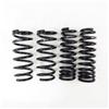 RS-R T995D 15+ Lexus RC350 RWD (GSC10) Down Sus Springs