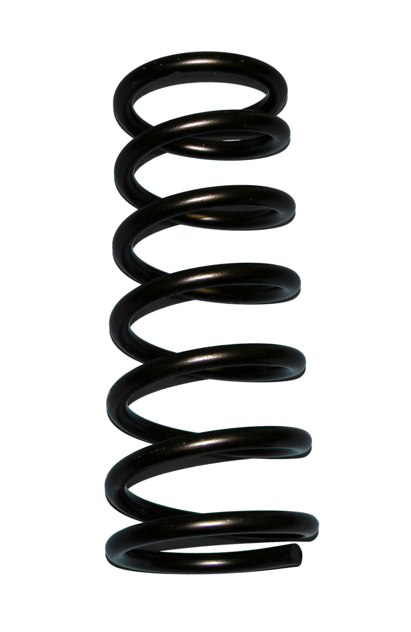 Skyjacker D20 Coil Spring Set 1994-2001 Dodge RAM 1500 4 Wheel Drive