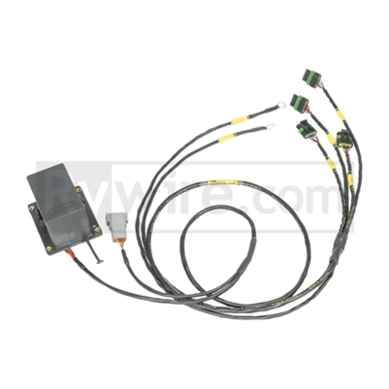 Rywire RY-COP-IGBT IGBT (/IGN-1A) Coil Sub-Harness for 2 Rotor Engines