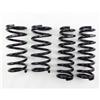 RS-R T197D 2014-2020 Lexus IS250/350 AWD (GSE36) Down Sus Springs