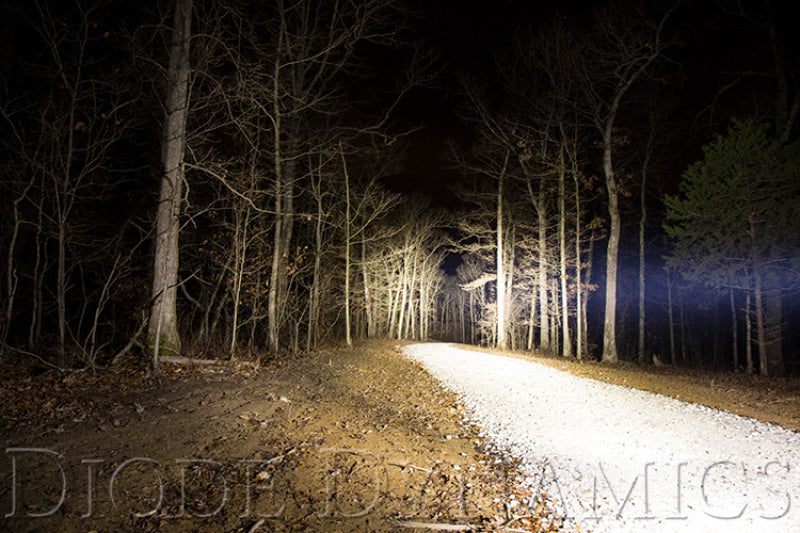 Diode Dynamics DD5016 18 In LED Light Bar Single Row Straight Clear Driving Each Stage Series