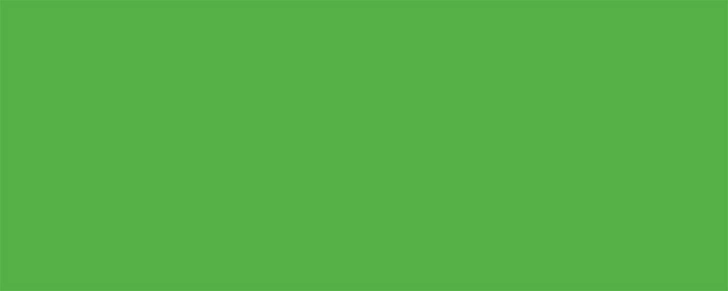 Allstar Performance ALL22211 Aluminum Xtreme Green 4x10