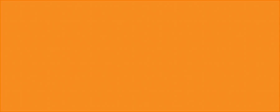 Allstar Performance ALL22244 Aluminum Vib Orange/Vib Orange 4x10