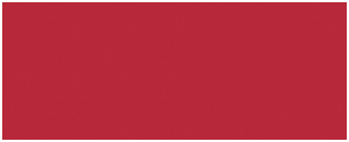 Allstar Performance ALL22484 Aluminum Red/Red 4x10-1/2