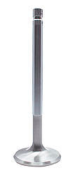 Ferrea FERF5002-8 SBC H/P 2.020in Intake Valves