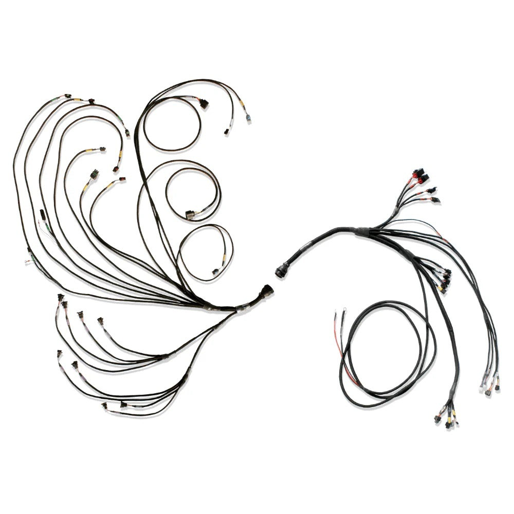 Fueltech USA FTH3026110977 PRO600 Ford V8 Complete Harness