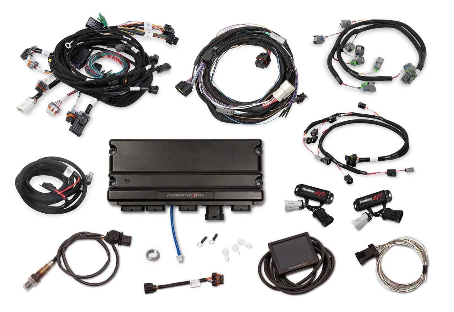 Holley HLY550-1317 EFI Terminator X Max Ford 2V Mod