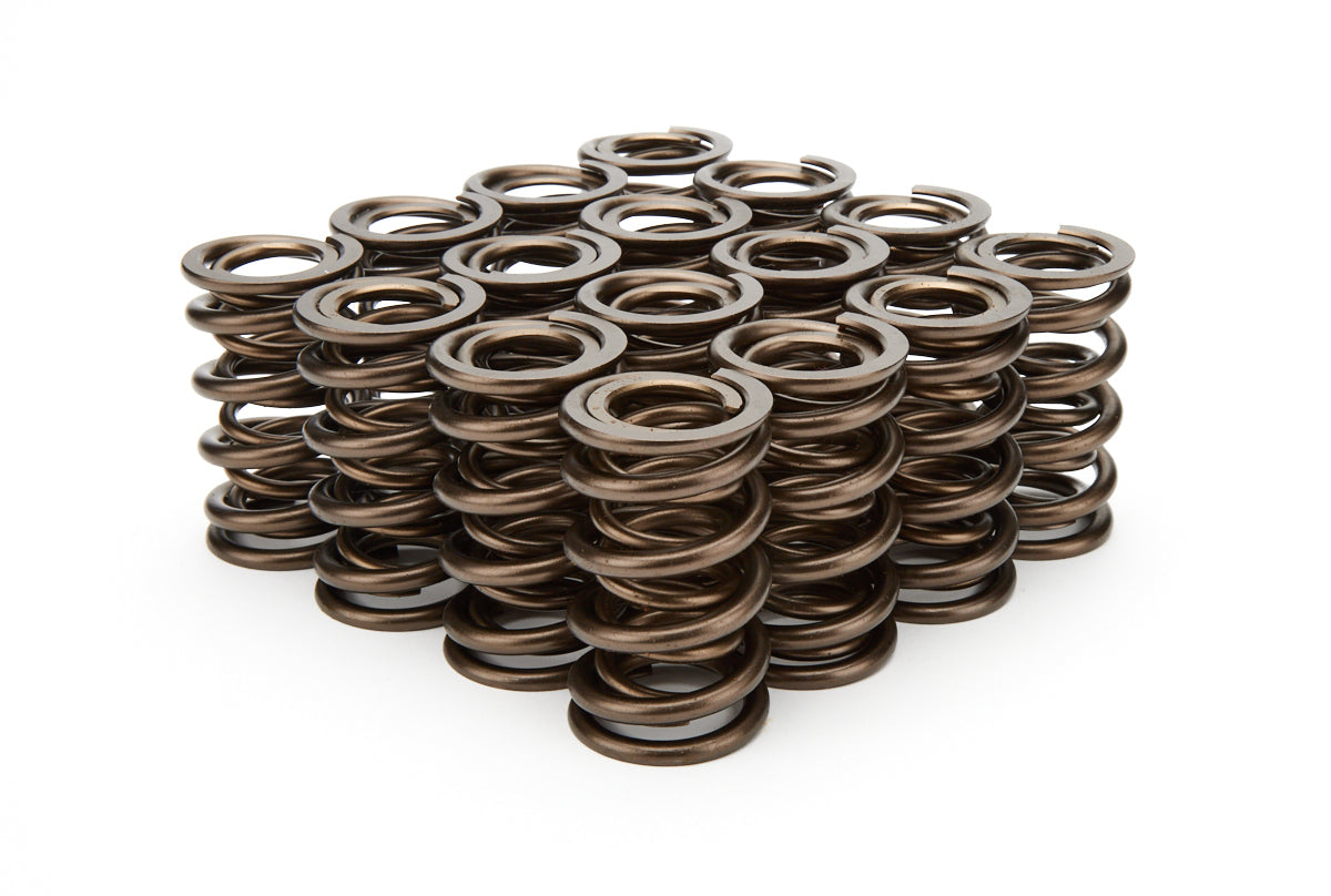 Isky Cams ISK9935 1.560 Valve Springs
