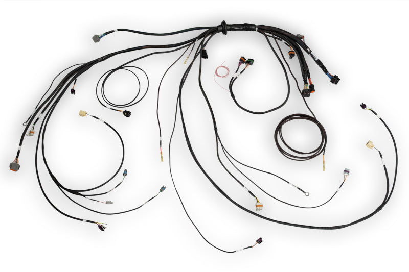 Haltech HT-186500 NEXUS Rebel LS Terminated Harness for ECU