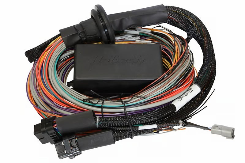 Haltech HT-141306 Universal Elite 2500/2500 T Premium Wire-In Harness