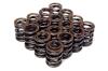 BLOX Racing BXPT-10301 Dual Valve Springs for K20A2-3 Z1-3 (2.0L DOHC i-VTEC) / K24A-3 (2.4L DOHC i-VTEC)
