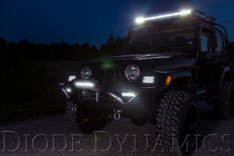 Diode Dynamics DD5015P 12 In LED Light Bar Single Row Straight Clear Driving (Pair) Stage Series