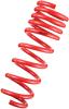 Tanabe TDF153 DF210 Springs 10-10 Prius