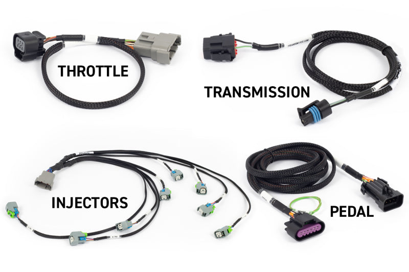 Haltech HT-220204 NEXUS Rebel LS Gen IV 6-Pin DBW Throttle/EV6 Injectors/Manual Transmission
