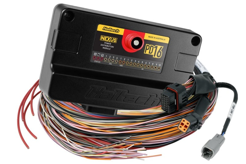 Haltech HT-198201 NEXUS PD16 + Flying Lead Harness - 5m (16ft)