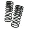RS-R N910D 09-14 Nissan Maxima Down Sus Springs