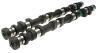 Brian Crower BC0211 Nissan KA24DE RWD (Minor Modification) Camshafts - Stage 2
