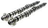Brian Crower BC0061 Honda F20C/F22C Camshafts - Stage 2