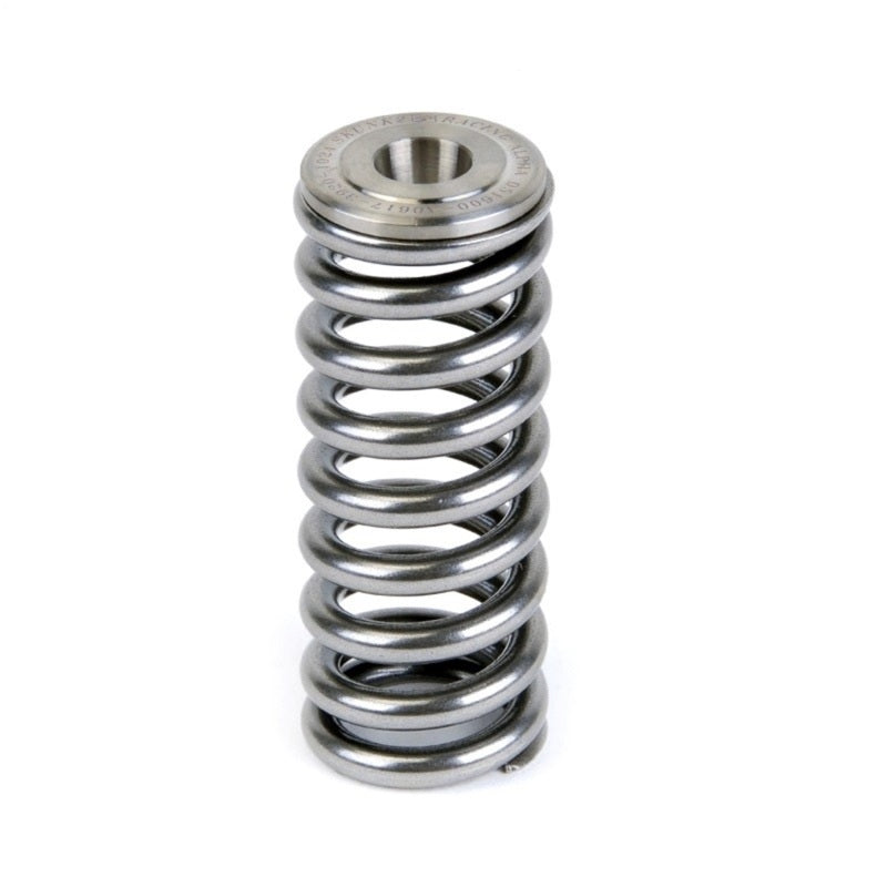 Skunk2 Racing 344-05-1350 Skunk2 Alpha Series Honda/Acura D Series Valve Spring and Titanium Retainer Kit