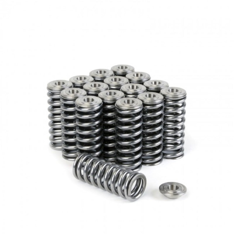 Skunk2 Racing 344-05-1350 Skunk2 Alpha Series Honda/Acura D Series Valve Spring and Titanium Retainer Kit
