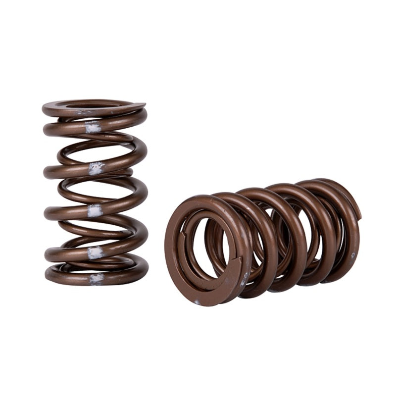 Skunk2 Racing 311-05-7380 Skunk2 Pro Series Honda/Acura K-Series i-VTEC XP Valve Spring Set (Dual Springs)