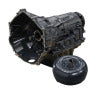 BD Diesel BDD Transmissions 1064844SS