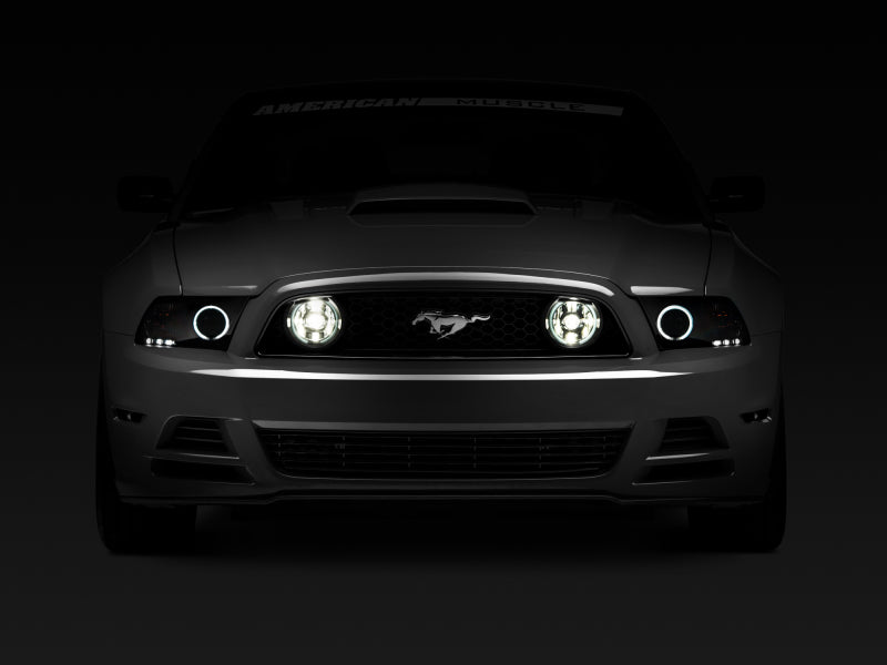Raxiom 49177 13-14 Ford Mustang GT CCFL Halo Fog Lights (Smoked)