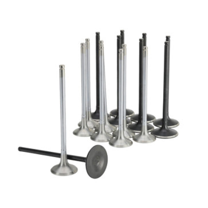 Skunk2 Racing 310-05-2000 Skunk2 Honda K20C1 Alpha Series Intake & Exhaust Valve Set (Standard Compression)