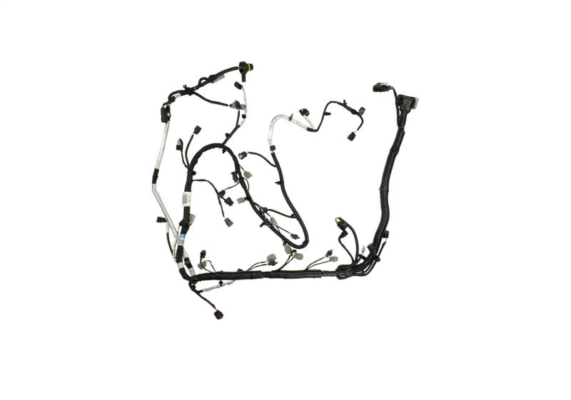 Ford Racing M-12508-M50A 5.0L Coyote Engine Harness for Automatic Transmission