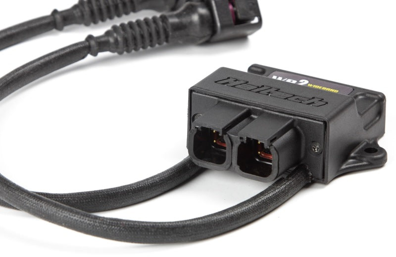 Haltech HT-159986 WB2 Dual Channel CAN O2 Wideband Controller Kit