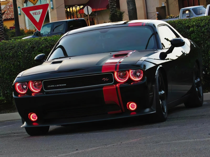 ORACLE Lighting 1458-332 Oracle 0814 Dodge Challenger Dynamic Surface Mount Headlight/Fog Light Halo Kit COMBO SEE WARRANTY