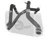 aFe 46-20124-B AFE Bladerunner I/C & Tubes