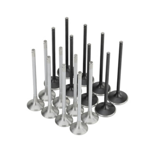 Skunk2 Racing 310-05-2000 Skunk2 Honda K20C1 Alpha Series Intake & Exhaust Valve Set (Standard Compression)