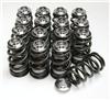 GSC Power Division 5051 GSC P-D SR20 Single Spring w/ Titanium Retainer Valvetrain Kit
