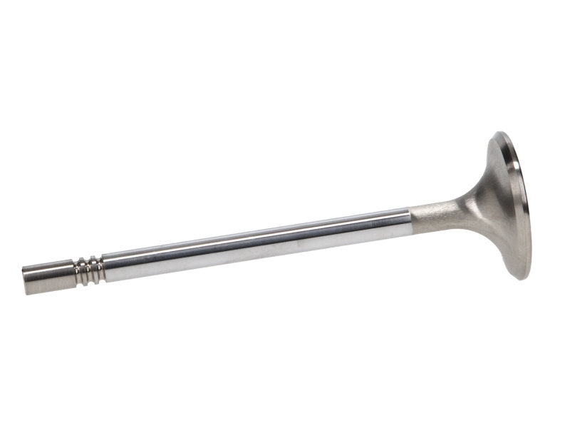 Manley MAN11637-8 Ford 4.6L R/M 36mm Exhaust Valves