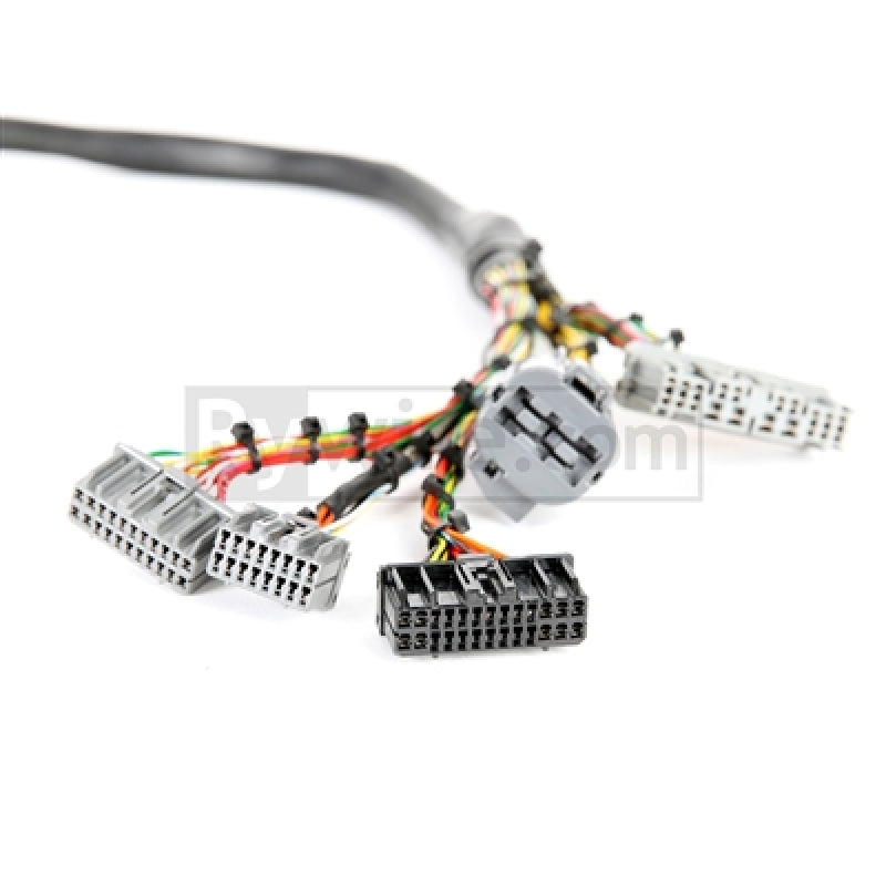 Rywire RY-B1-MILSPEC Honda B/D-Series Mil-Spec Eng Harness w/OBD1 Dist/Inj/Alternator & 92-95 Plugs (Adapter Req)