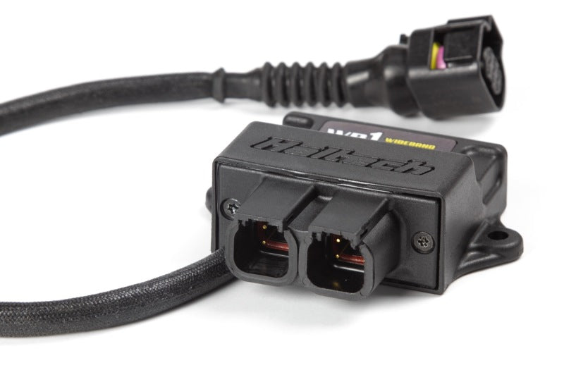 Haltech HT-159976 WB1 Single Channel CAN O2 Wideband Controller Kit