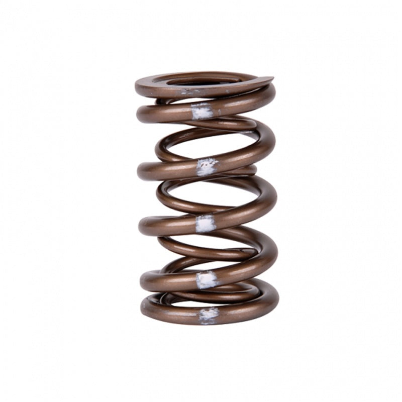 Skunk2 Racing 311-05-7350 Skunk2 Pro Series Honda/Acura B-Series VTEC XP Valve Spring Set (Dual Springs)